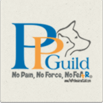 partner-logo-4